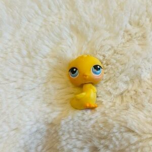 Chick 13 | Littlest Pet Shop Collectible